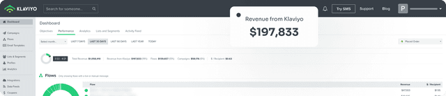 Klaviyo Googan 30 days