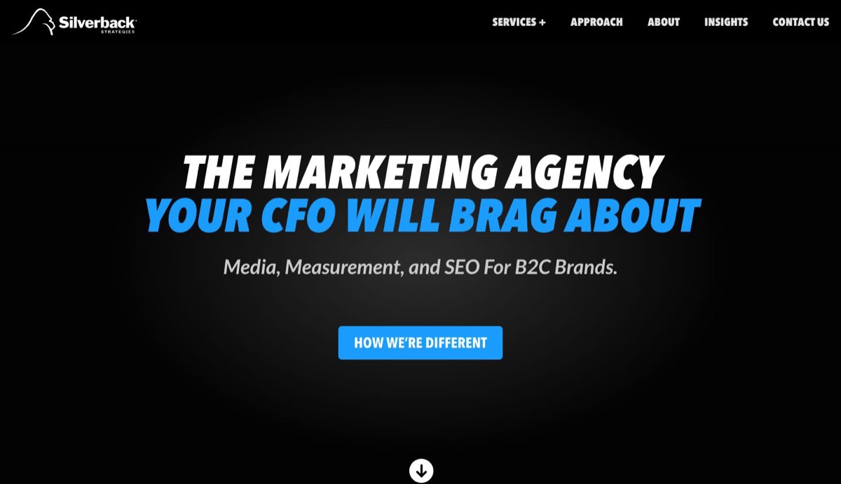 Silverback Strategies — mid-market paid and SEO marketing agency for eCommerce