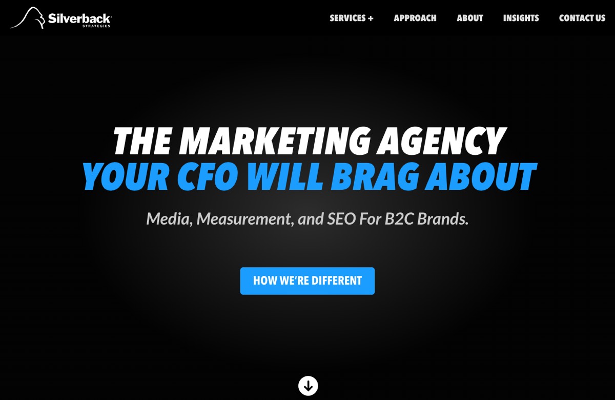 Silverback Strategies — enterprise performance marketing agency