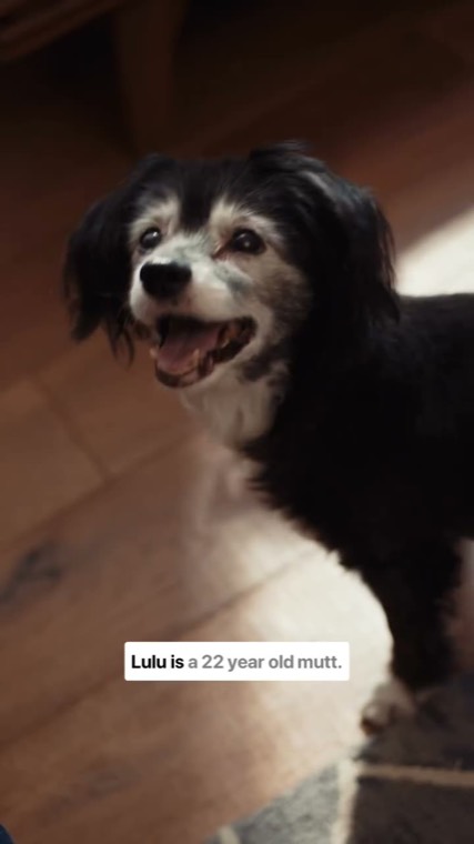 Facebook ad example — The Farmer's Dog Lulu social-proof video ad (pet brand)