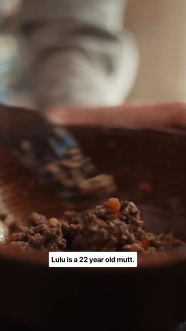 Fresh dog food spooned into a bowl in the ad