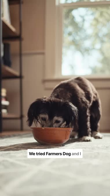 Lulu eating from her bowl in The Farmer's Dog ad