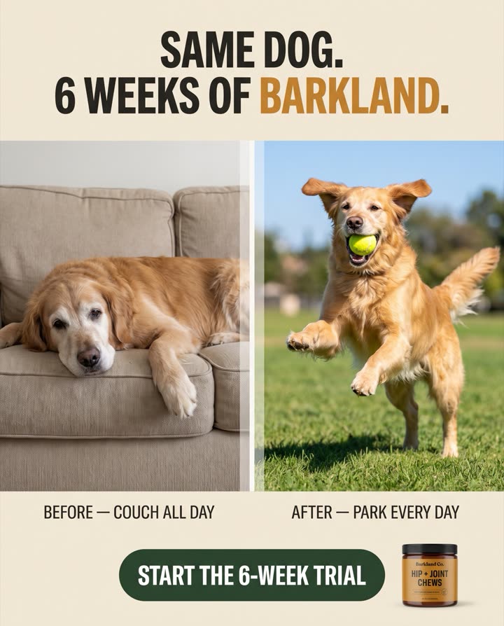 AI-generated Before / After ad